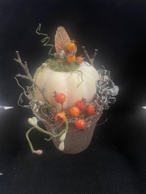 White Pumpkin on Peat Potl