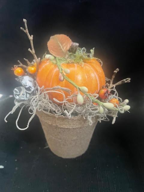 Orange Pumpkin in Peat Pot