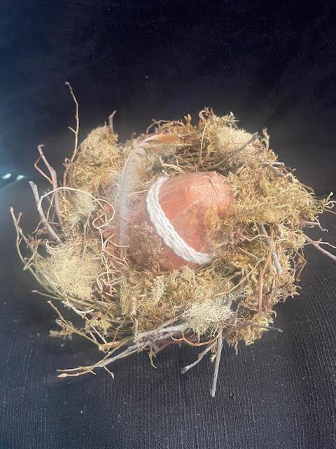 Rustic Biord Nest with Egg