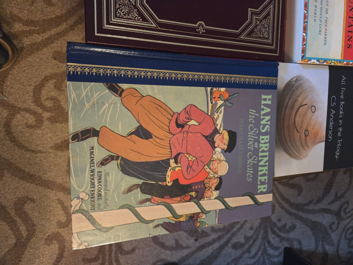 BooksHans Brinker