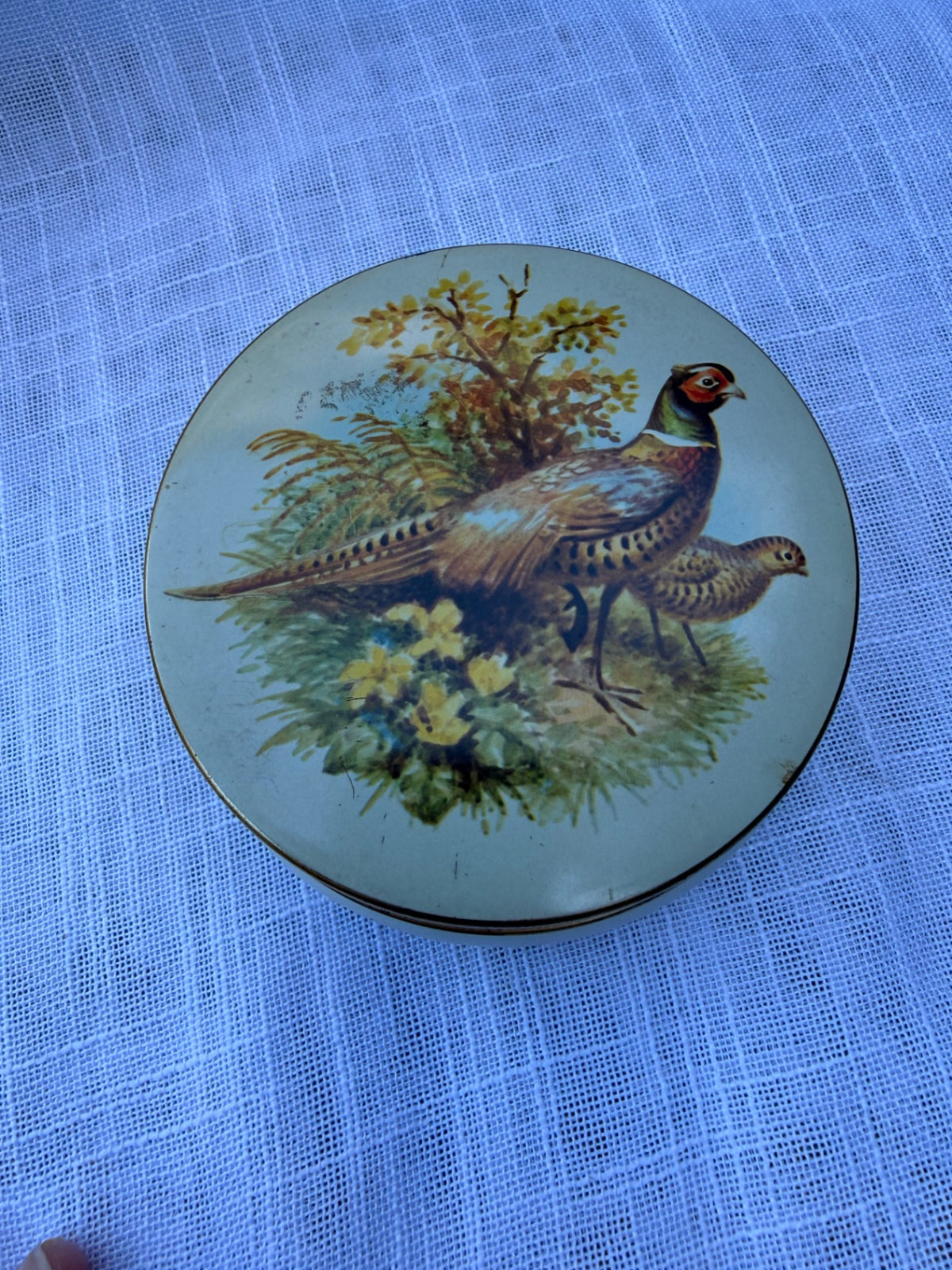 Vintage Riley's Toffee English Tin | Pheasant Bird Lithograph (As-Is / Stuck Lid)