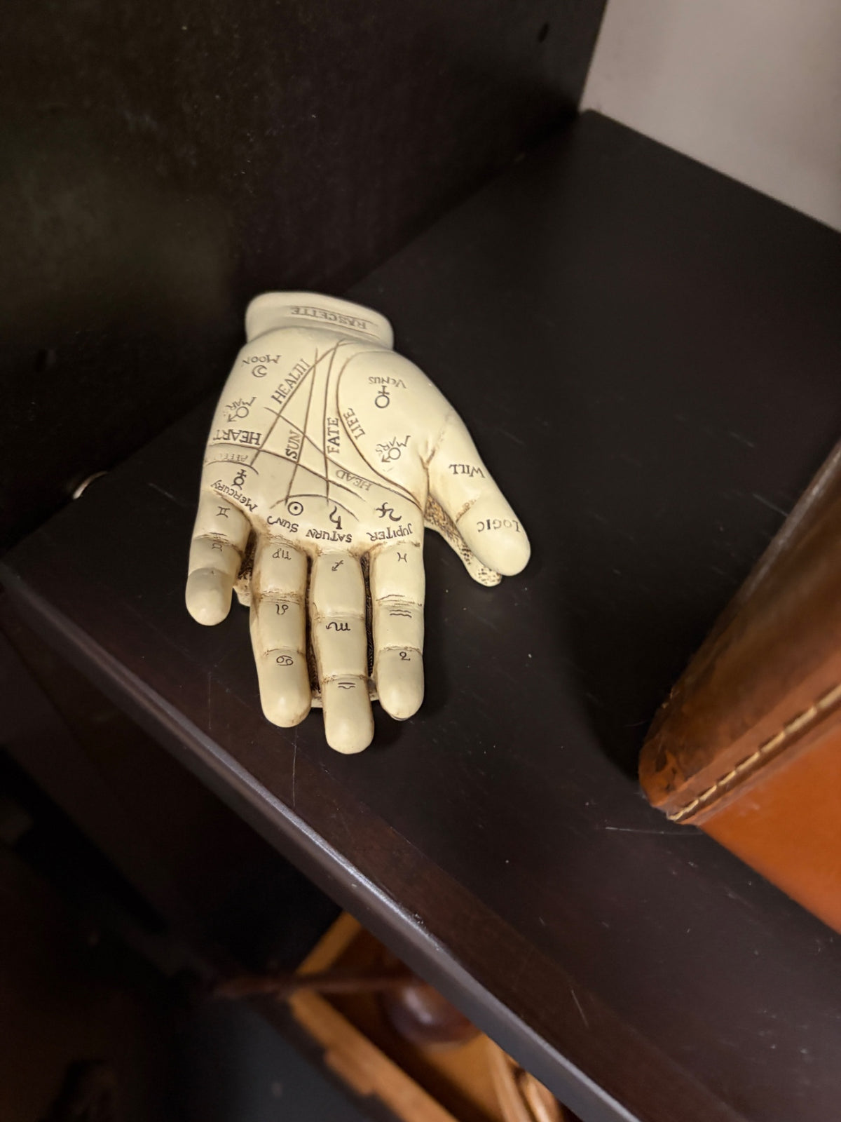 Palmistry Hand