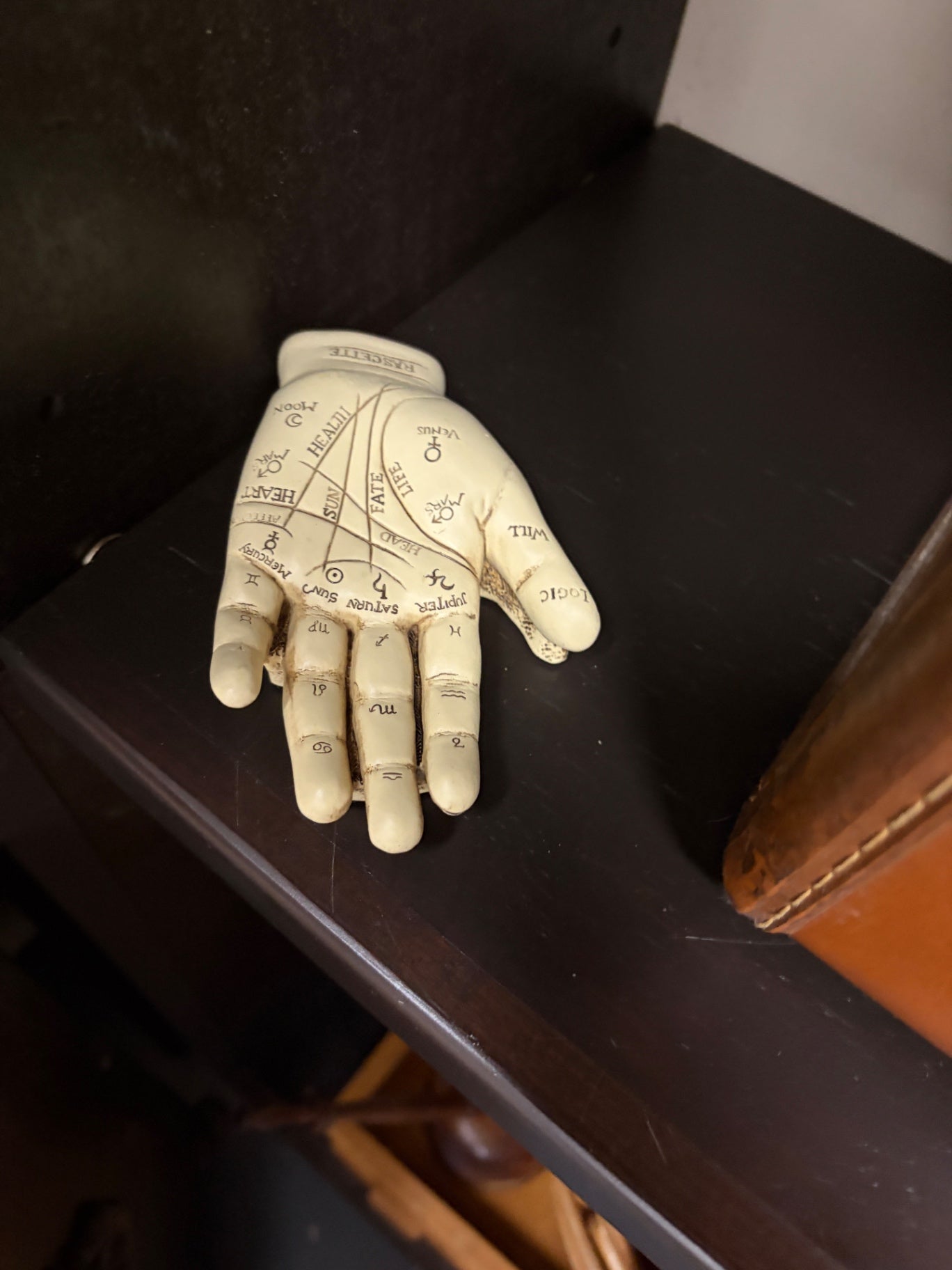 Palmistry Hand