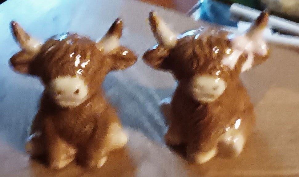 Highland Cattle Salt & Pepper
