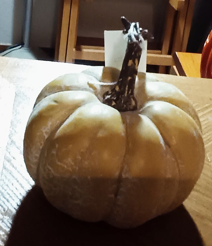 White Foam Pumpkin