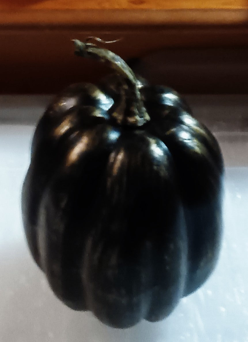 Black & Gold Foam Pumpkin 6"