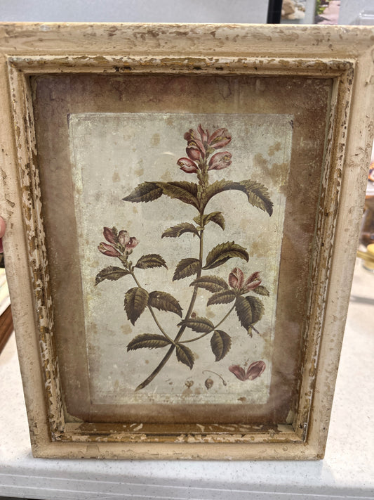 Floral print in Shabby frame
