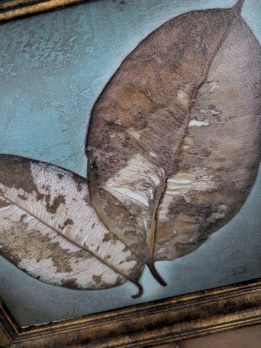 Patricia Pinto Leaf Framed Art Pair