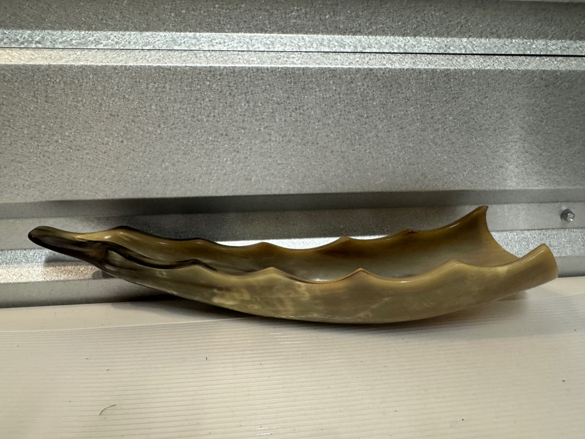 Horn