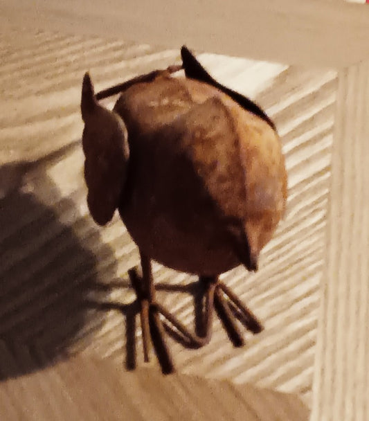 Rusty Bird 5"