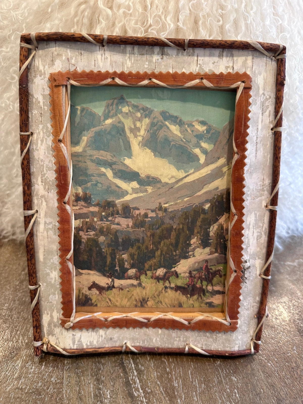 Birch bark picture frame 