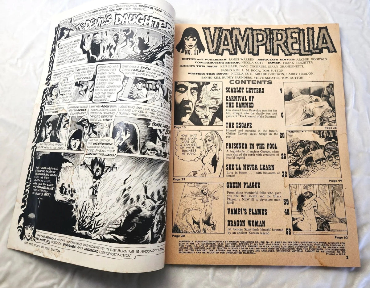 Vampirella Issue #11 May 1971 - Frank Frazetta Cover
