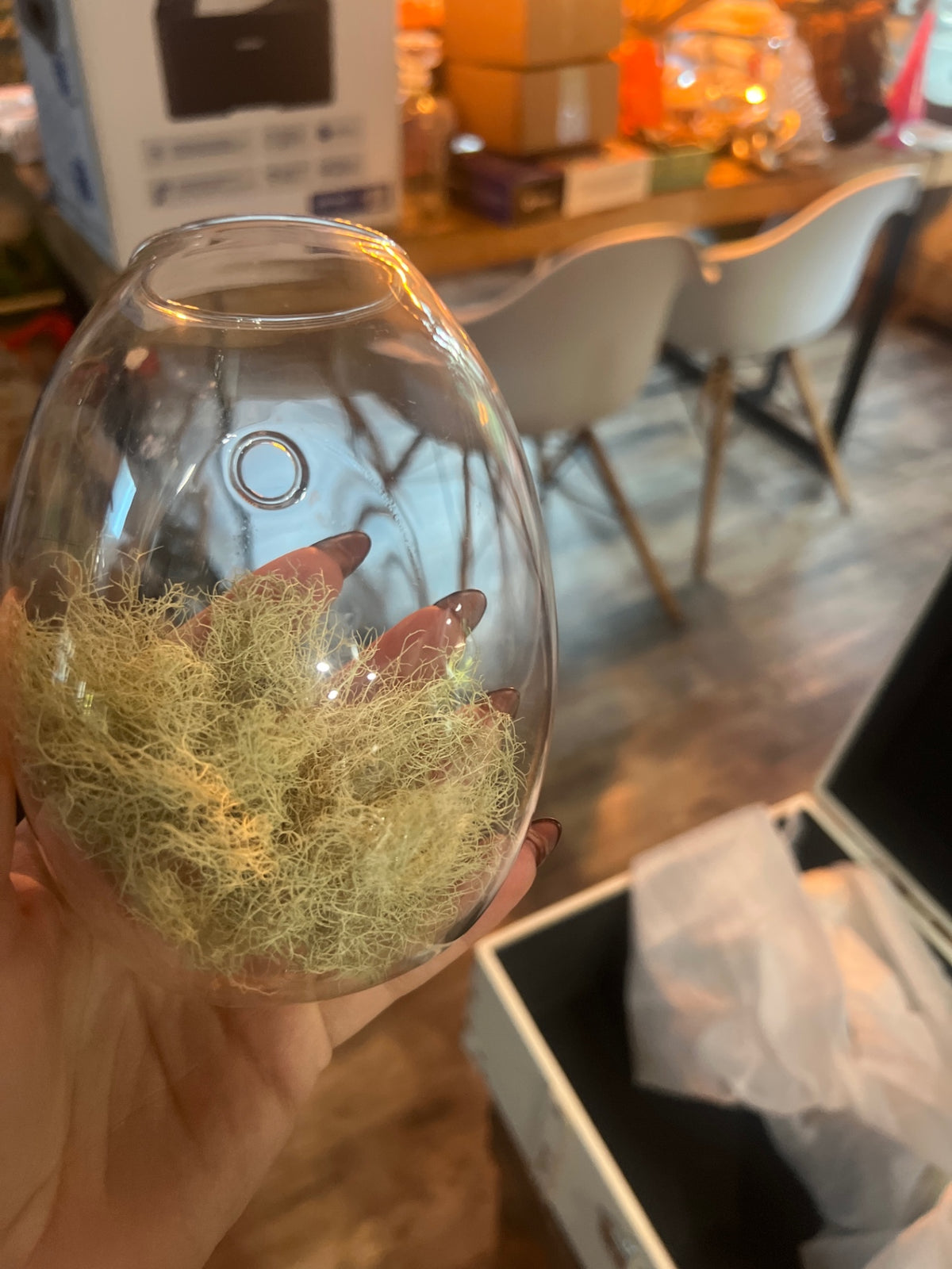 Plant glass hanger 