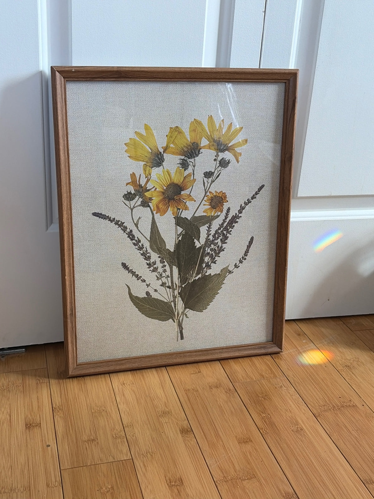 Framed Art. Black eyed Susan’s and lavender 