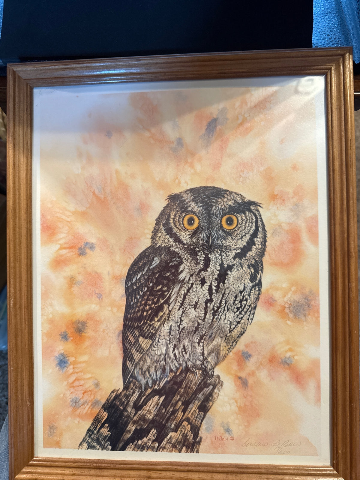 Owl print signed