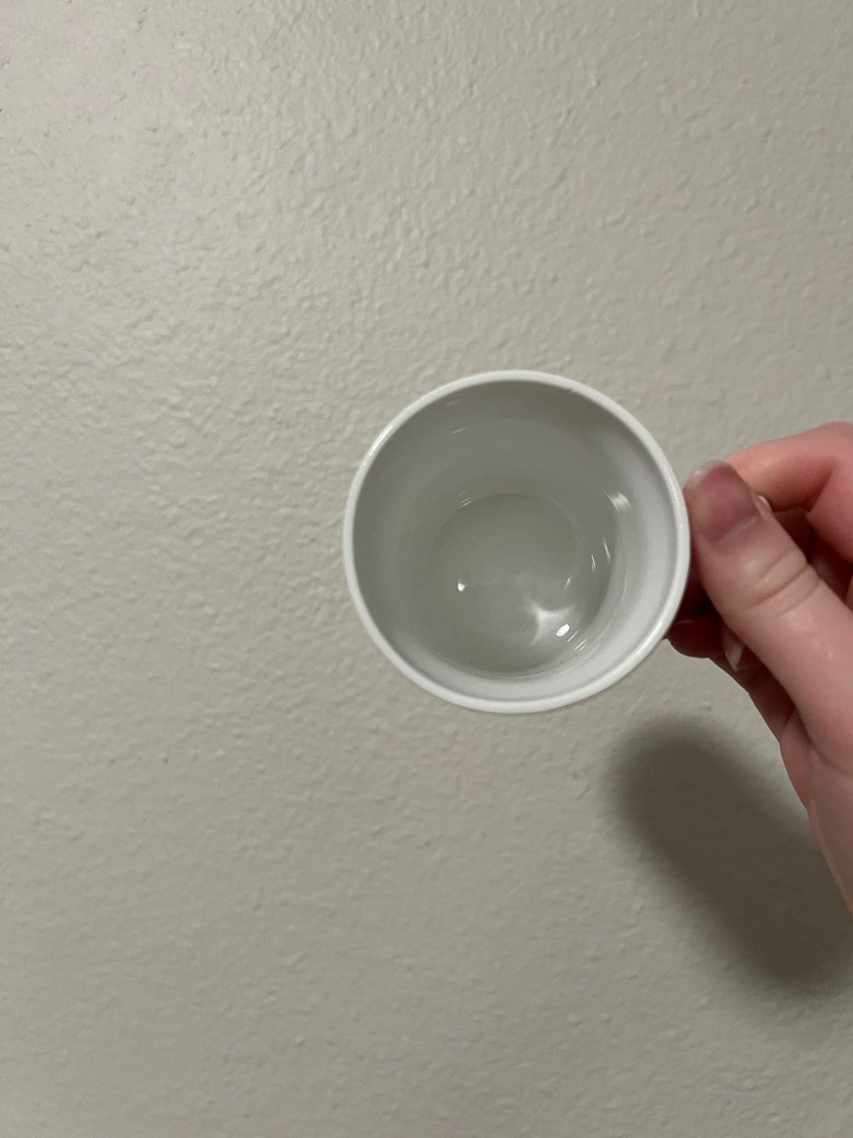 Vintage Windsor Autumn Leaf Bone China Cup