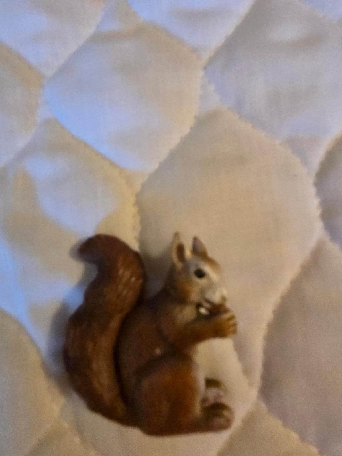 Schleicht squirrel