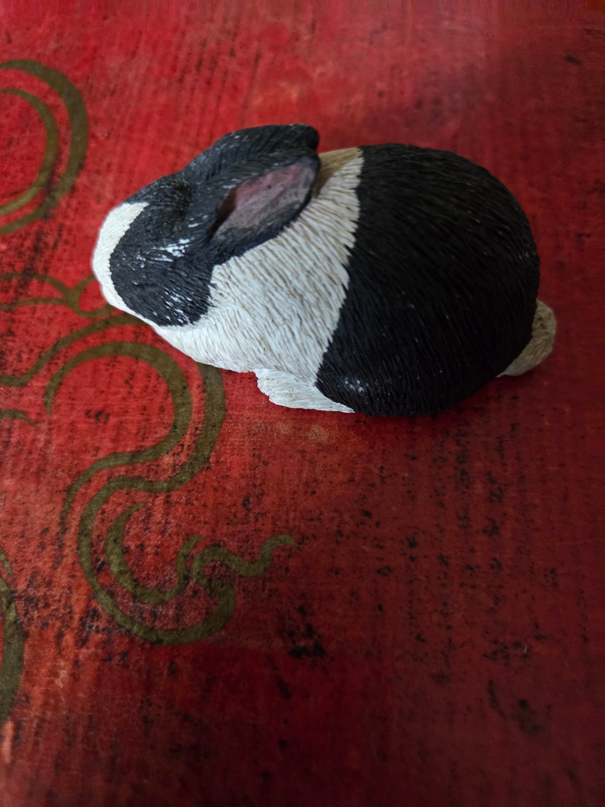 Sandicast bunny