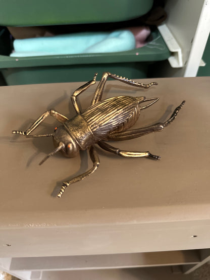 Small bugs