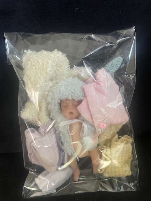 Doll with Wardrobe 
