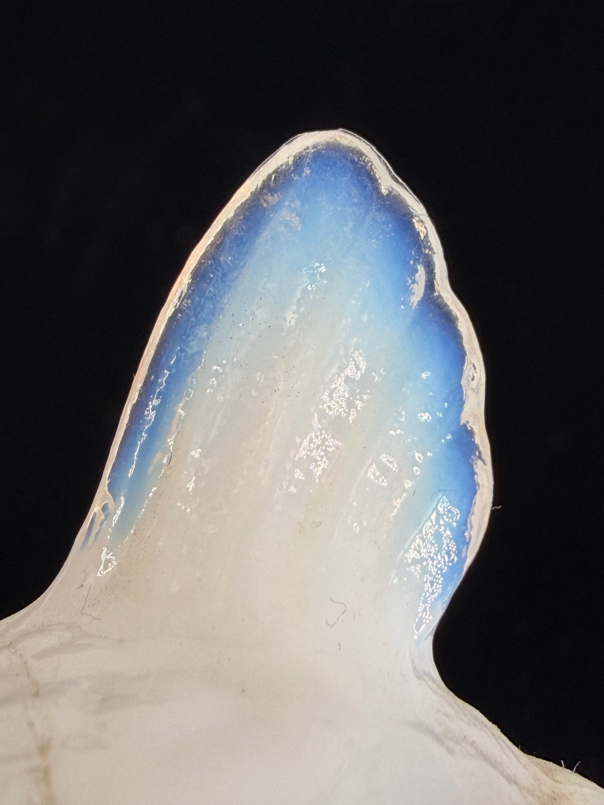 Boyd 1979 Opaline Blue Salt Cellar Hen on Nest HON