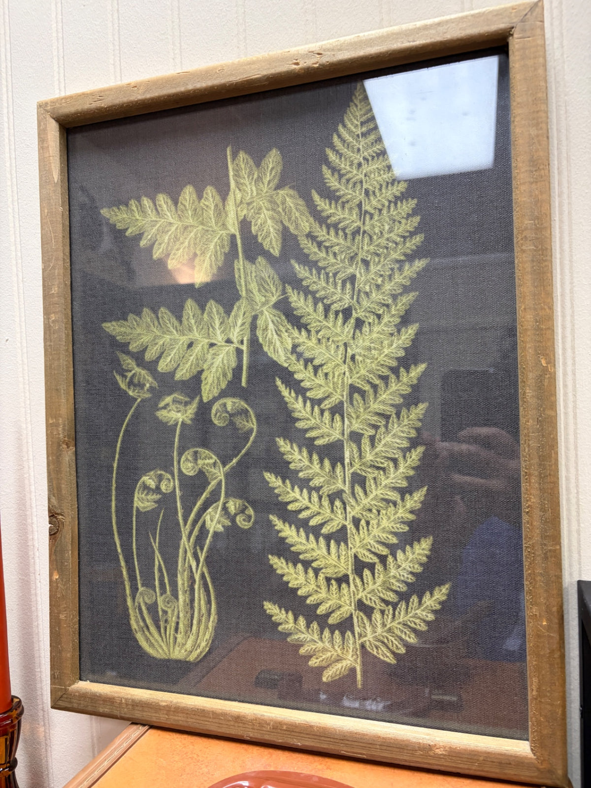 Framed Fern Print