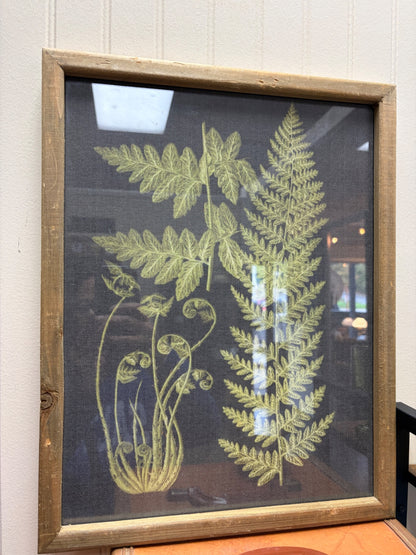 Framed Fern Print