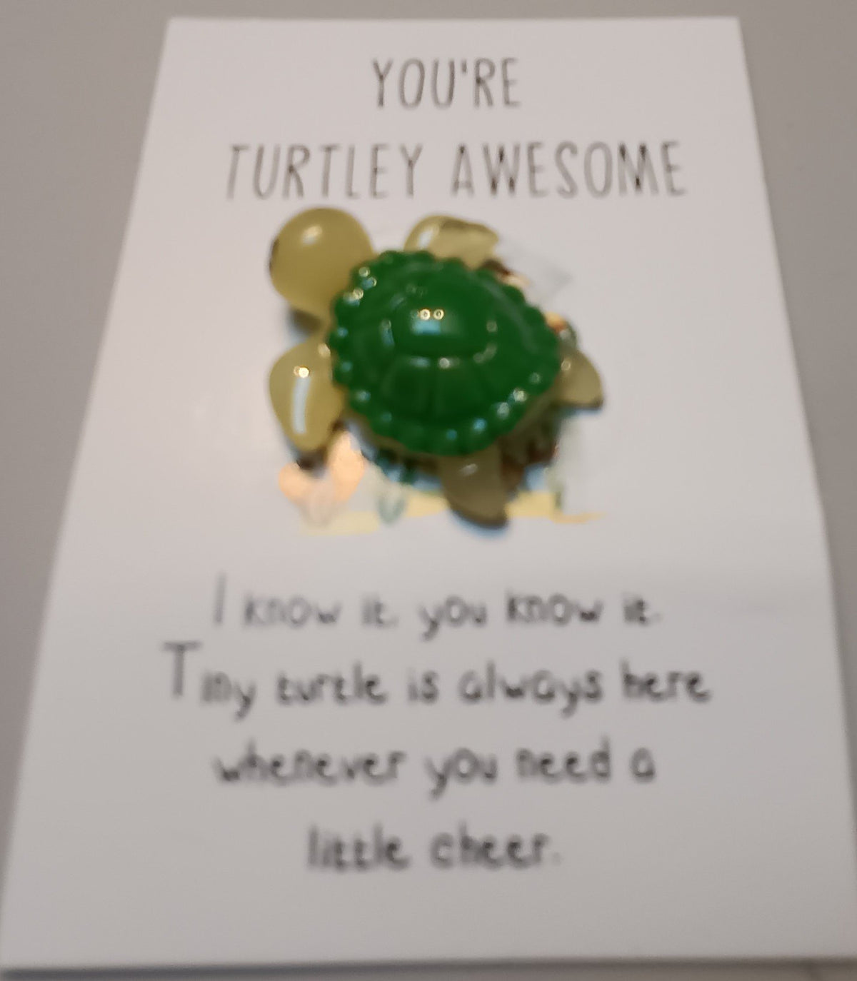 You're Turtley Awesome  Mini Glass Turtlr