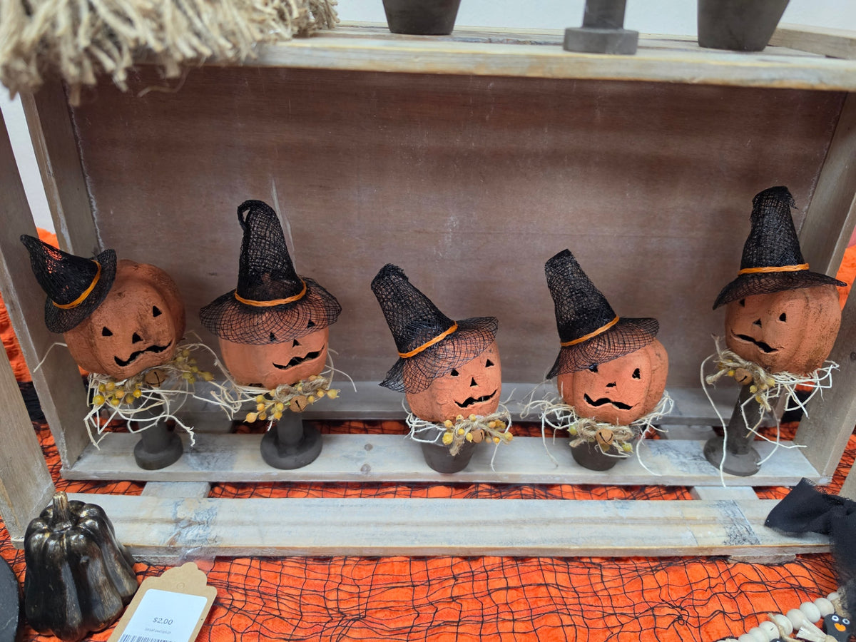 Pumpkin Witches