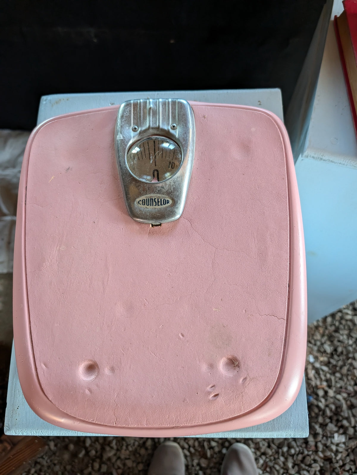 Vintage Pink Counselor Scale