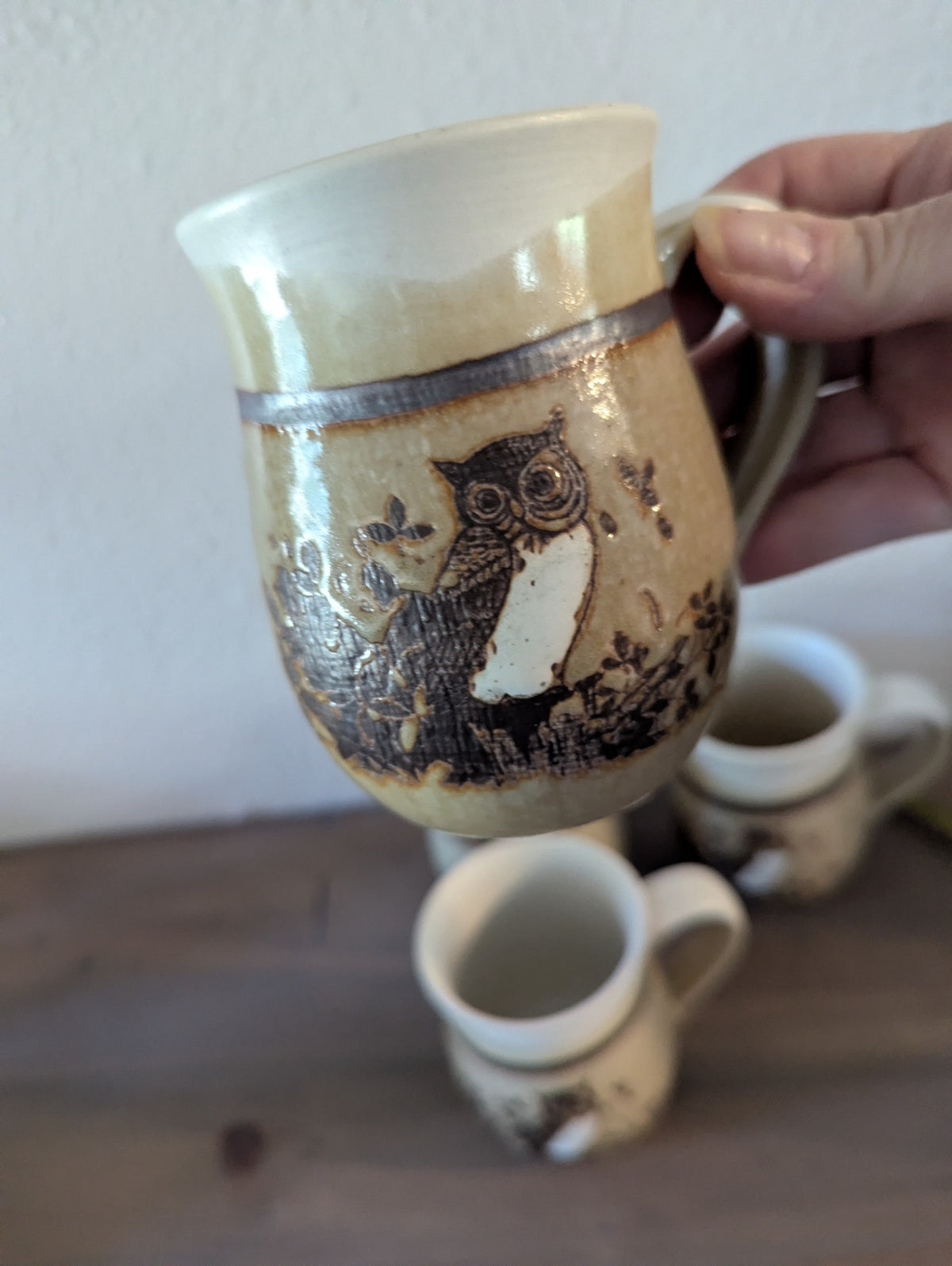 1970's Set of Owl Stoneware Mugs by Otagiri