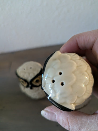 1970's Otagiri Owl Salt & Pepper Shakers