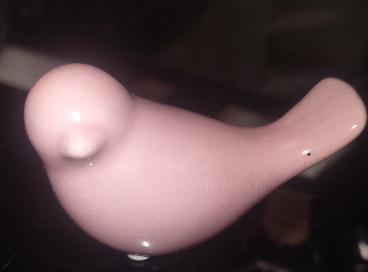 Small bird pink