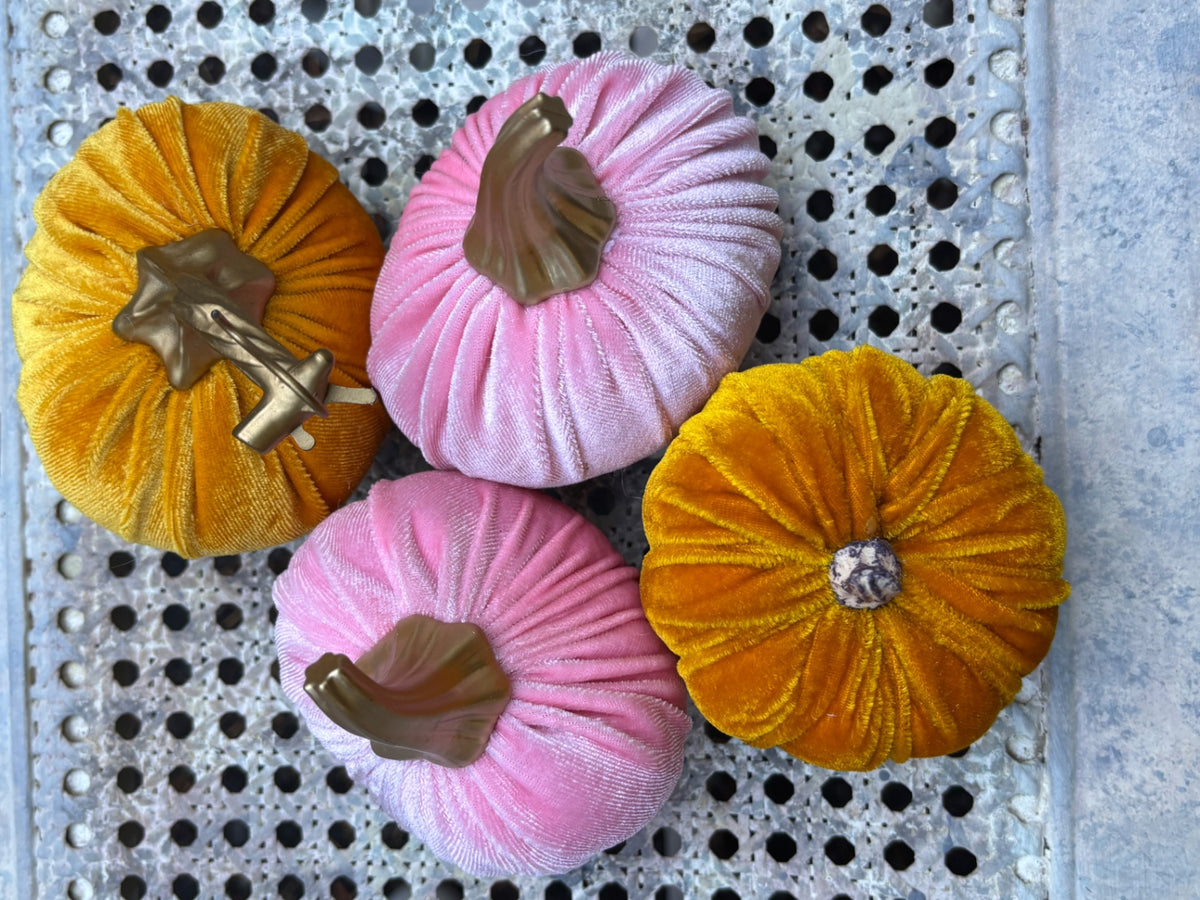 Velvet pumpkin