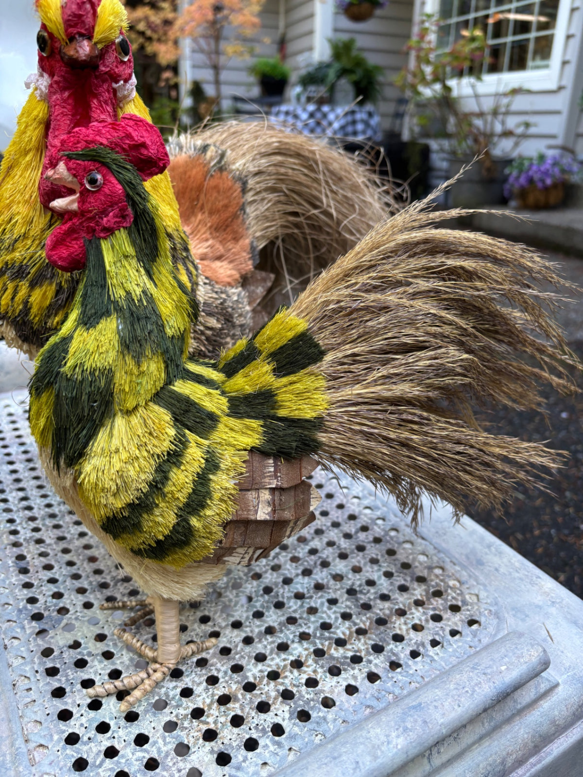 Small chicken