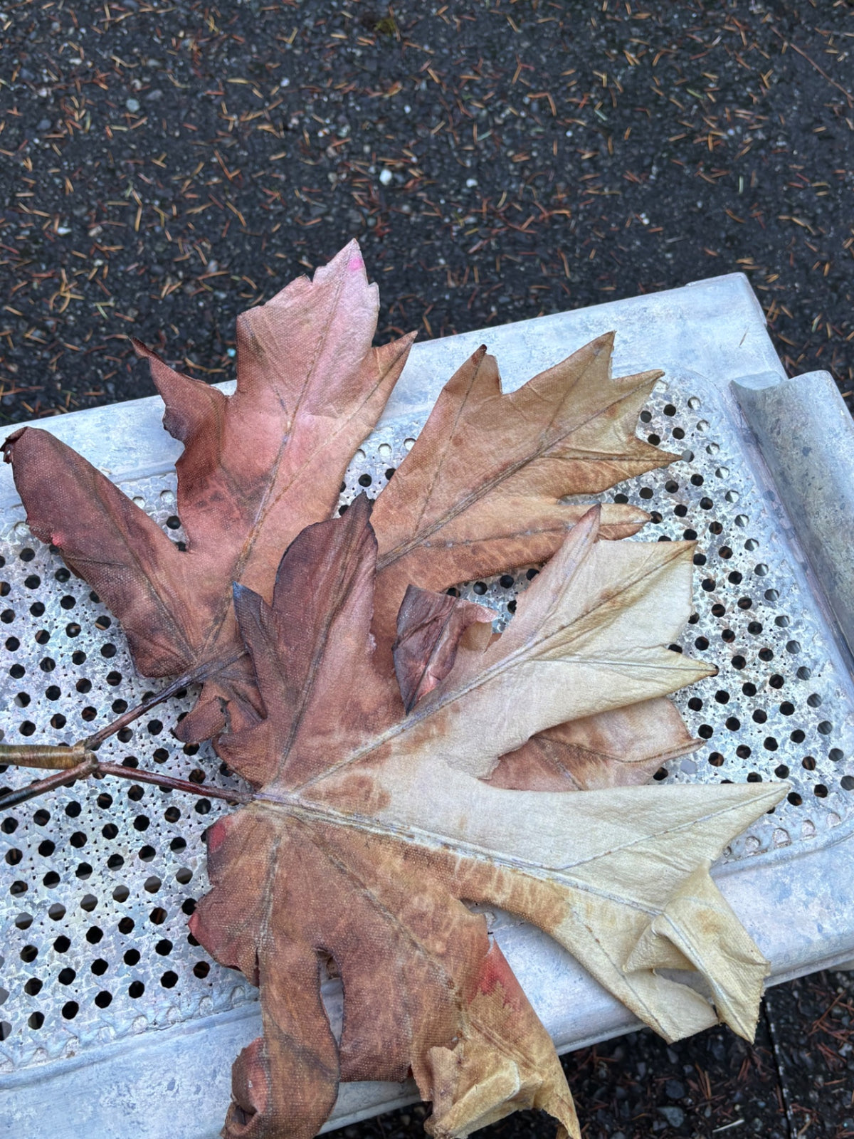 Double leaf