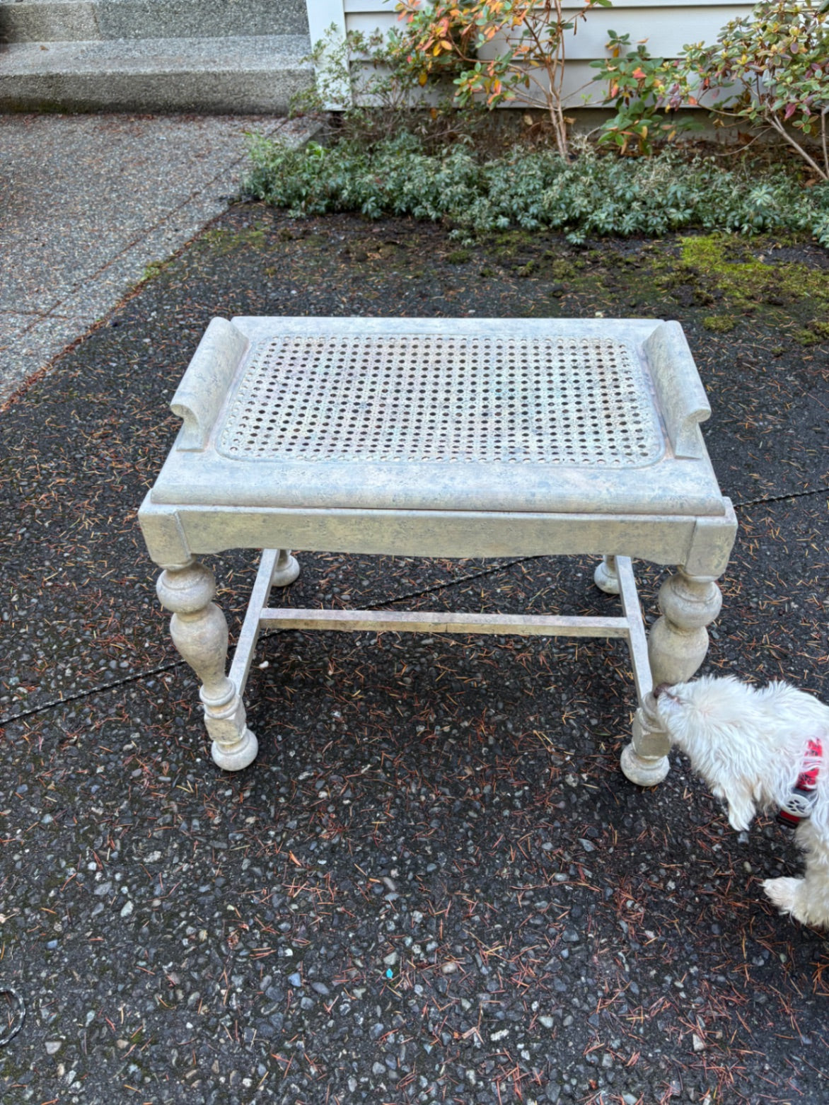 Cane table