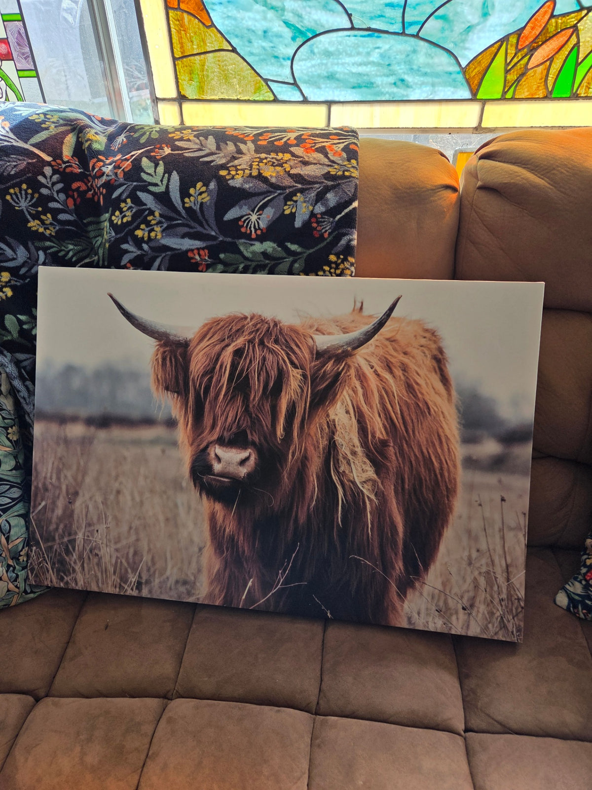 ArtHighland cow canvas