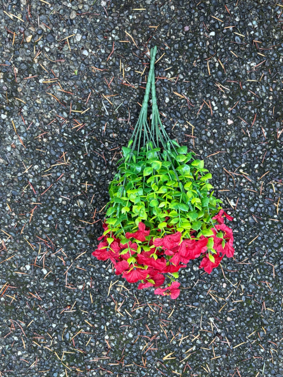 Red flower stems