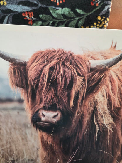 ArtHighland cow canvas