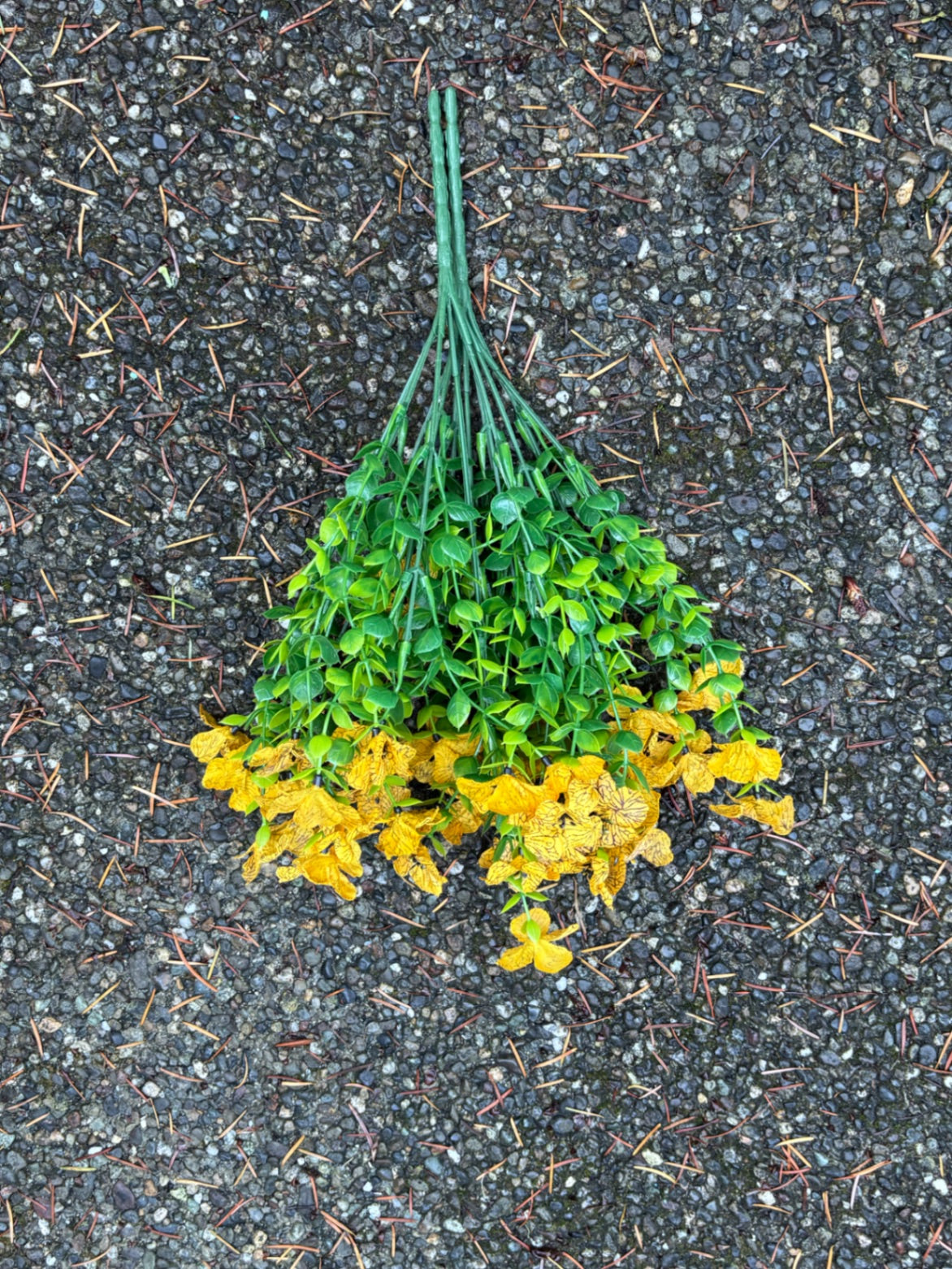 Yellow flower stems