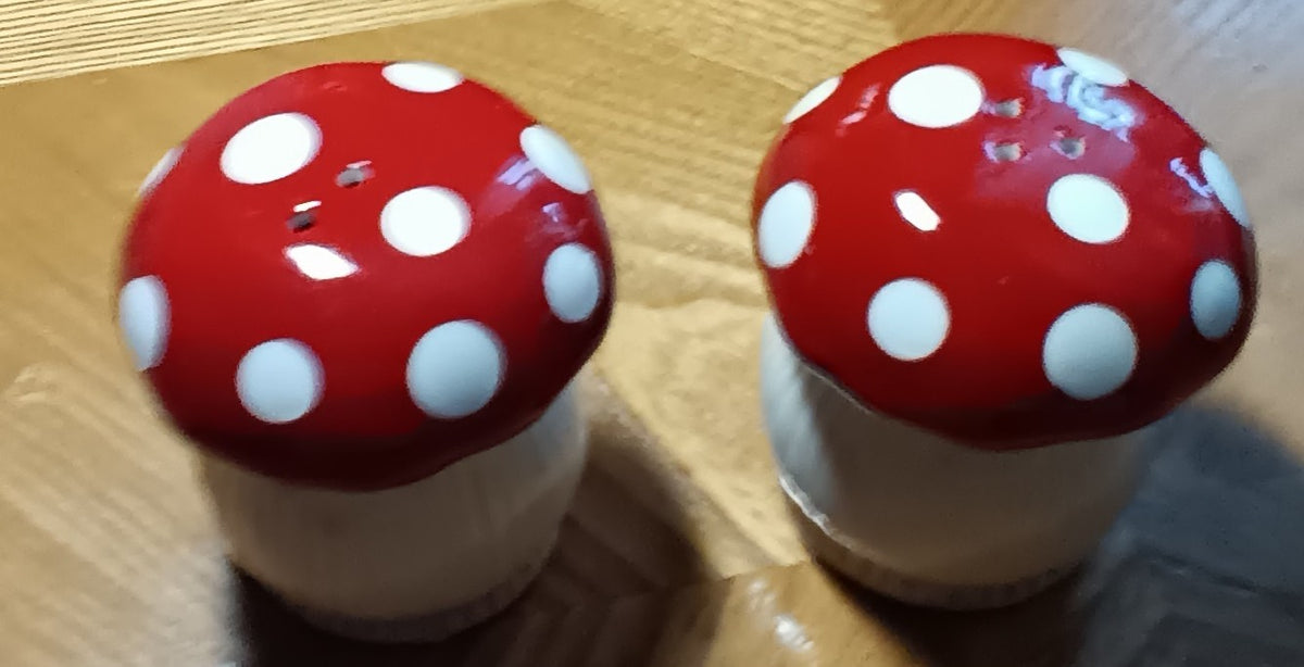 Whimisical Mushroom Salt & Pepper Pair