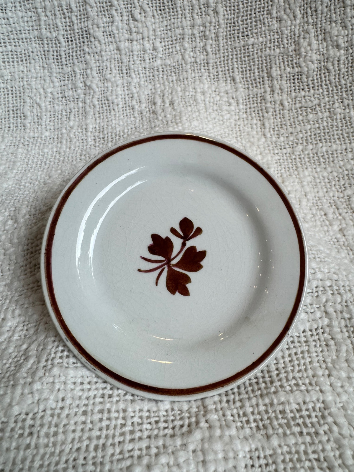 Tea Leaf ironstone butter pat c. 1890’s England
