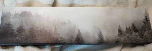 Stretched Canvas Evergreens in Fog Landscape 21" x6"