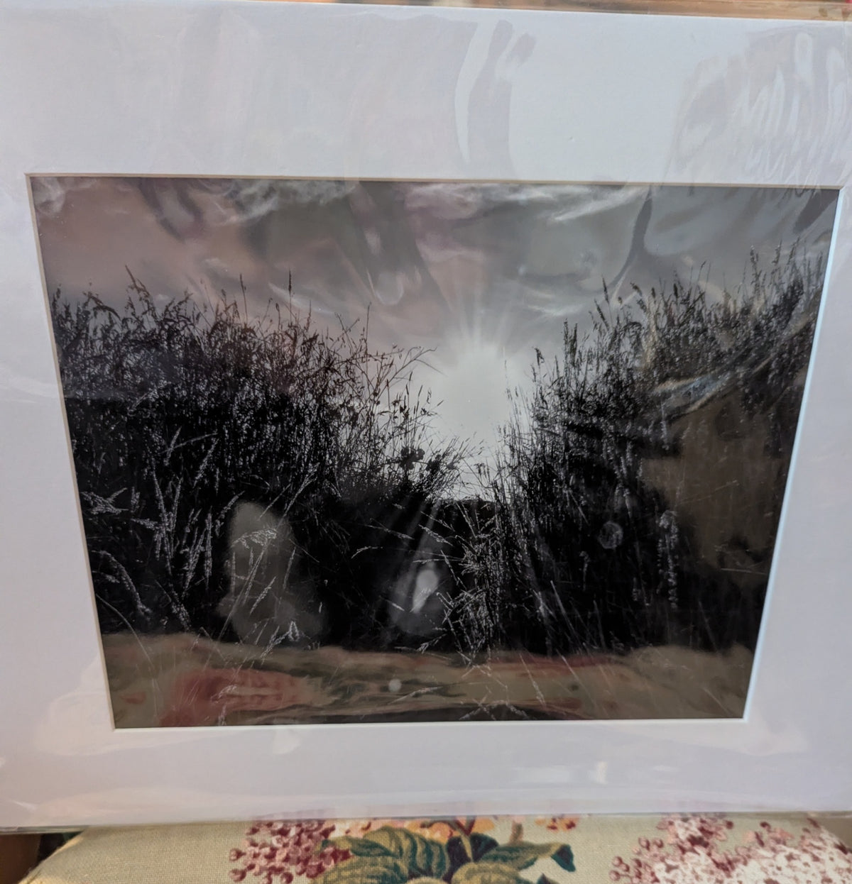 Beautiful Black & White Nature Photo of Meadow 8" x 10" plus Mat