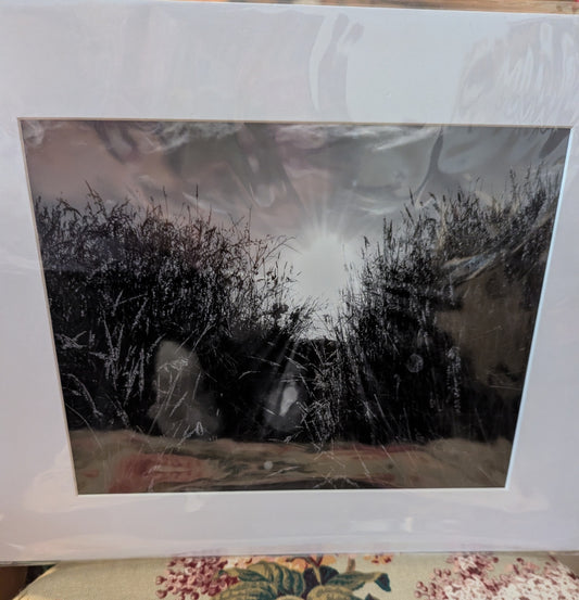 Beautiful Black & White Nature Photo of Meadow 8" x 10" plus Mat