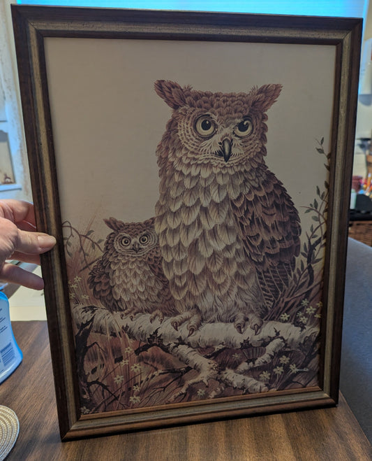 Vtg. Framed Print "Screech Owls" by Hinger