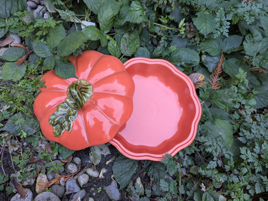 Pumpkin pie tray 
