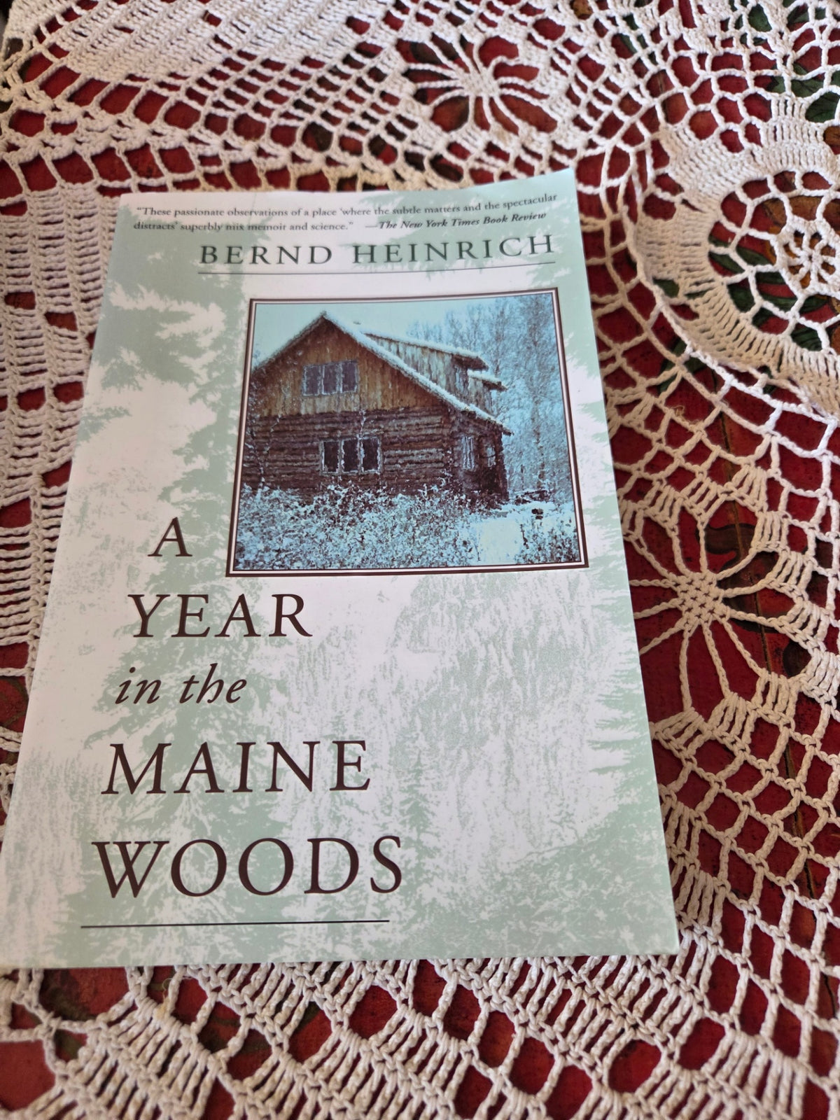 I year in the maine woods