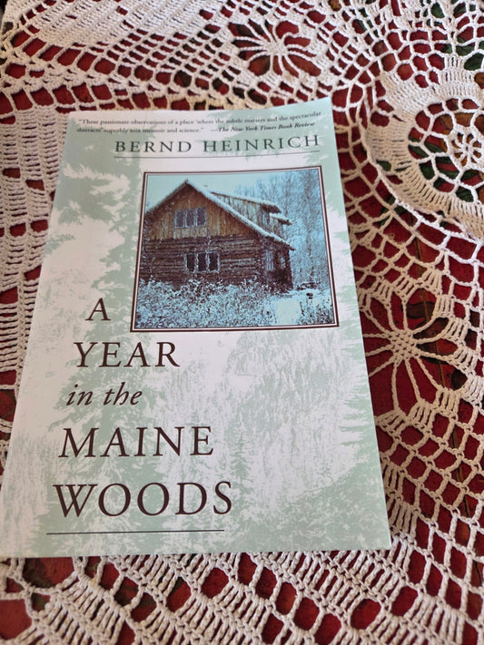 I year in the maine woods